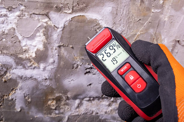 Best Mold Testing  in Stanley, VA