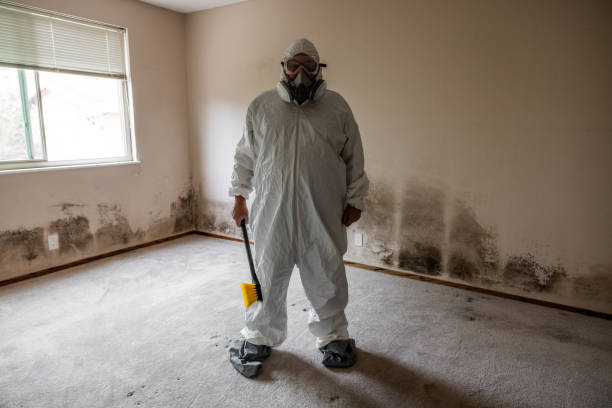 Best Mold Removal and Inspection  in Stanley, VA